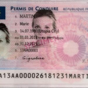 Apply France Driving License