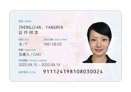 China ID Cards Online
