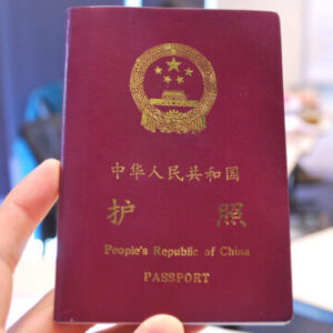 China Passport Online