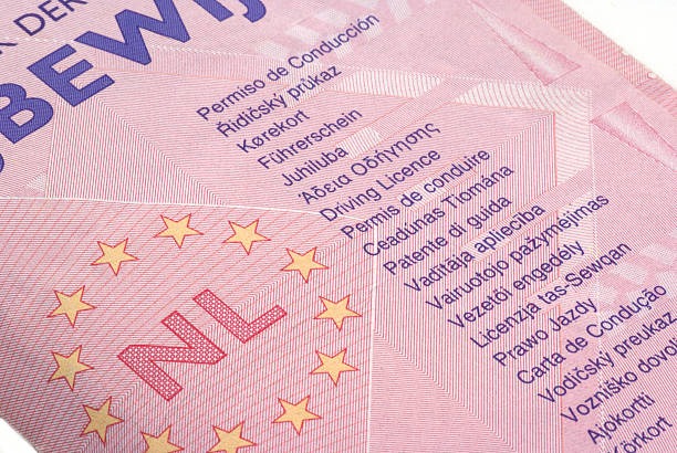 Dutch Driver’s License Online Tips and Tricks for a Application